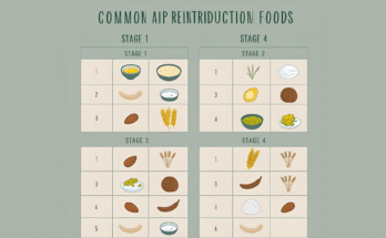 AIP Reintroduction Food Stages
